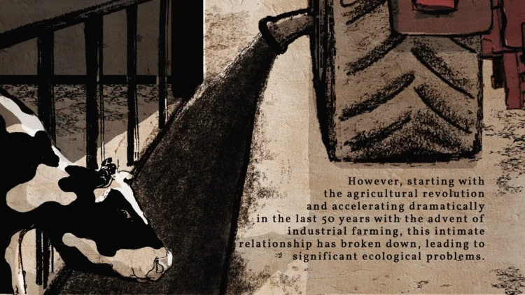 06 Where we are text