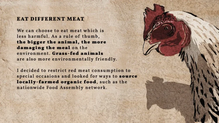 13 What we can do text