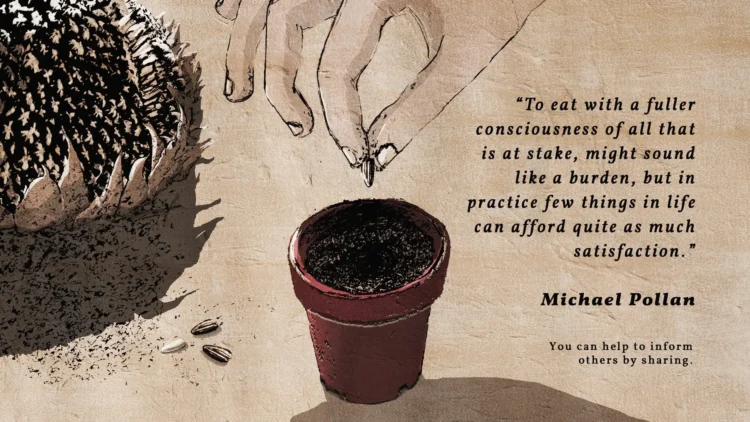 14 What we can do text