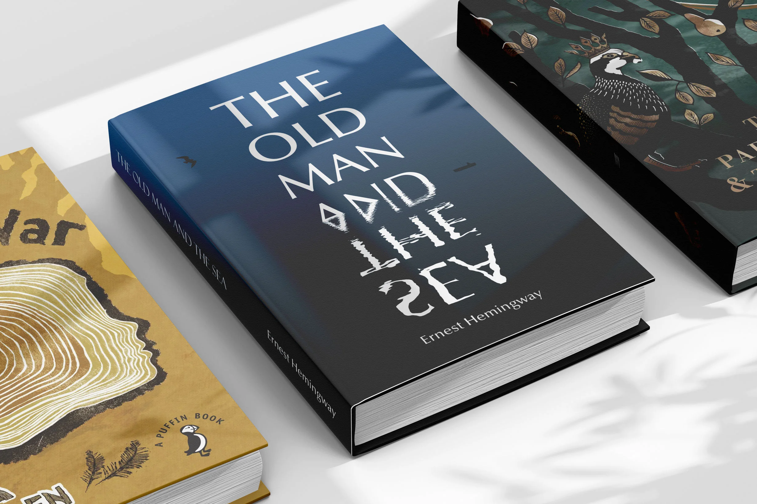 Book cover illustration service by freelance illustrator Kati Lacey