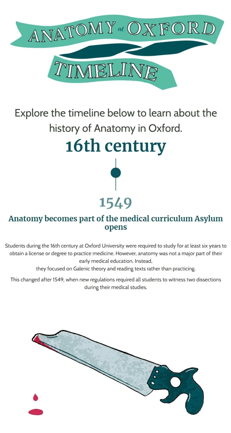 Brand illustration Health Histories Anatomy timeline