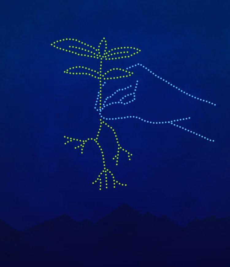 Editorial illustrations for alumni magazine drones by Kati Lacey Editorial illustrator