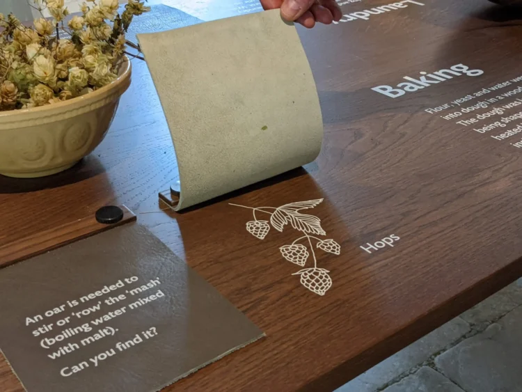 Hops Historic Objects Illustration for Educational Purposes by Kati Lacey Illustration