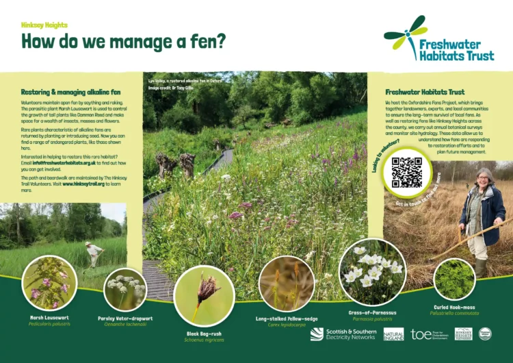 Illustrated interpretation board for cultural heritage