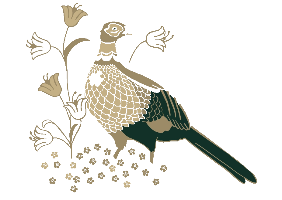 Kati Lacey Freelance Illustrator and graphic designer klacey Kati Lacey Freelance Illustrator and graphic designer klacey