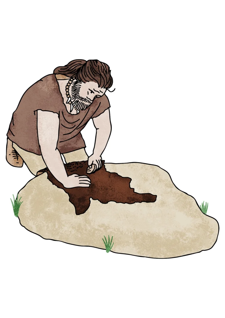 Non fiction character illustration for archeology Neolithic man scraping fur Kati Lacey Freelance Illustrator