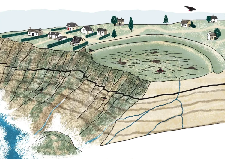 Non fiction educational landside diagram illustration by Kati Lacey freelance illustrator