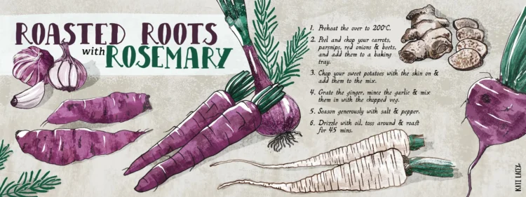 Recipe Illustration Roasted Roots with Rosemary landscape by Kati Lacey Illustration