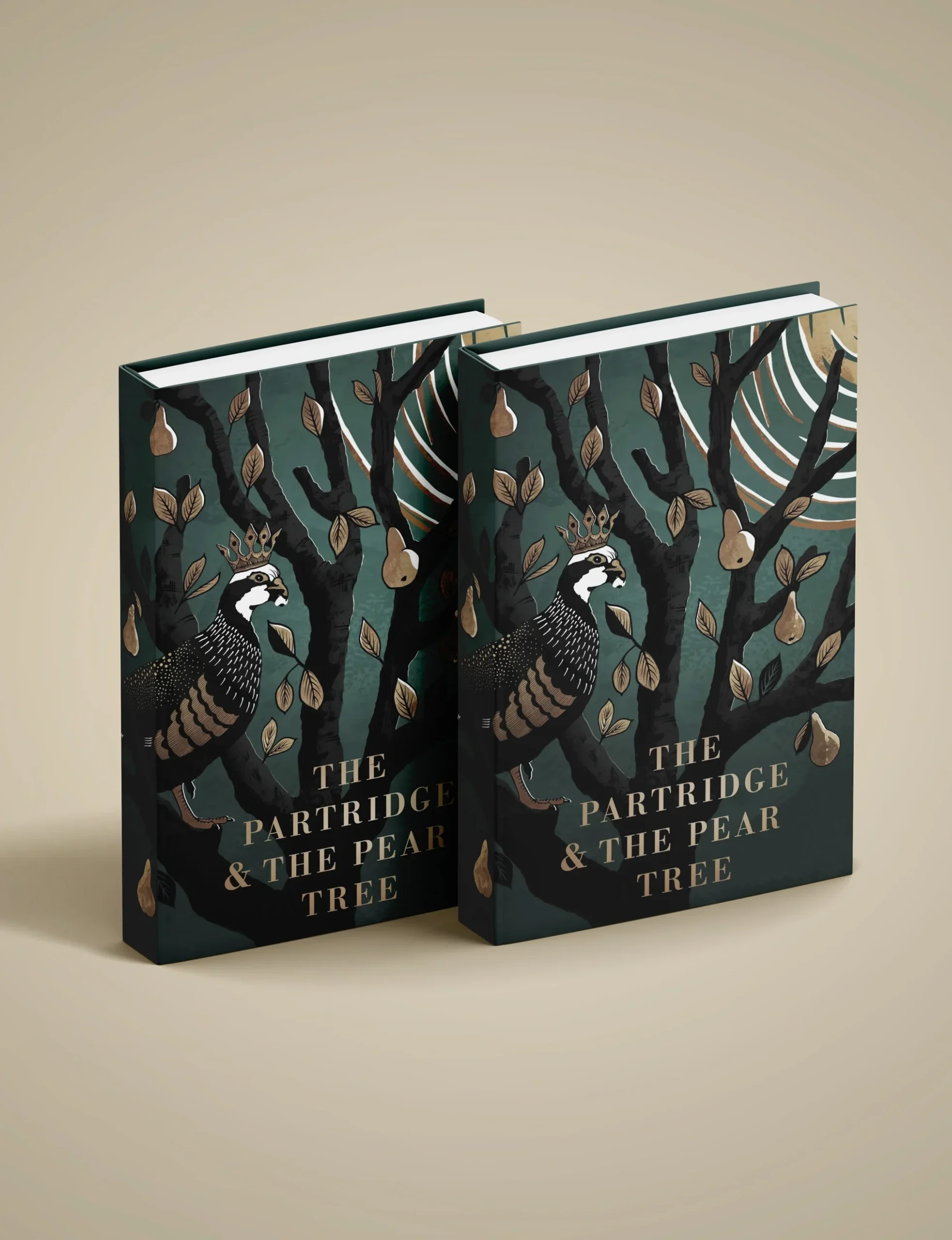 The Partridge in a Pear Tree Book Jacket Design square by Kati Lacey Freelance illlustrator The Partridge in a Pear Tree Book Jacket Design square by Kati Lacey Freelance illlustrator